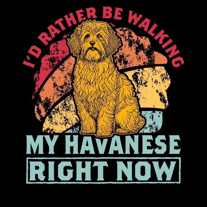 Je préfère marcher mon bichon havanais en ce moment