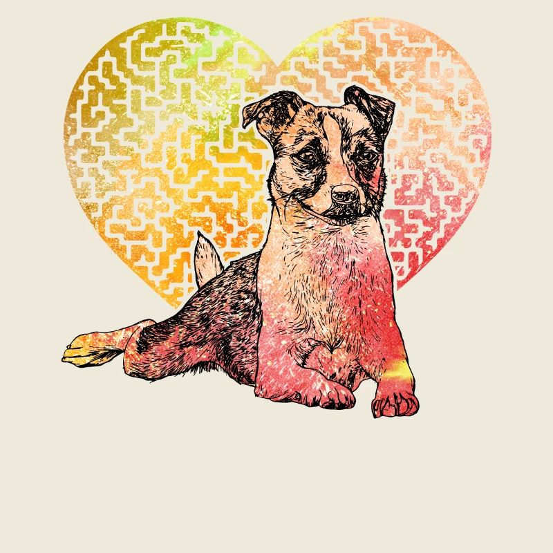 Jack Russell Terrier