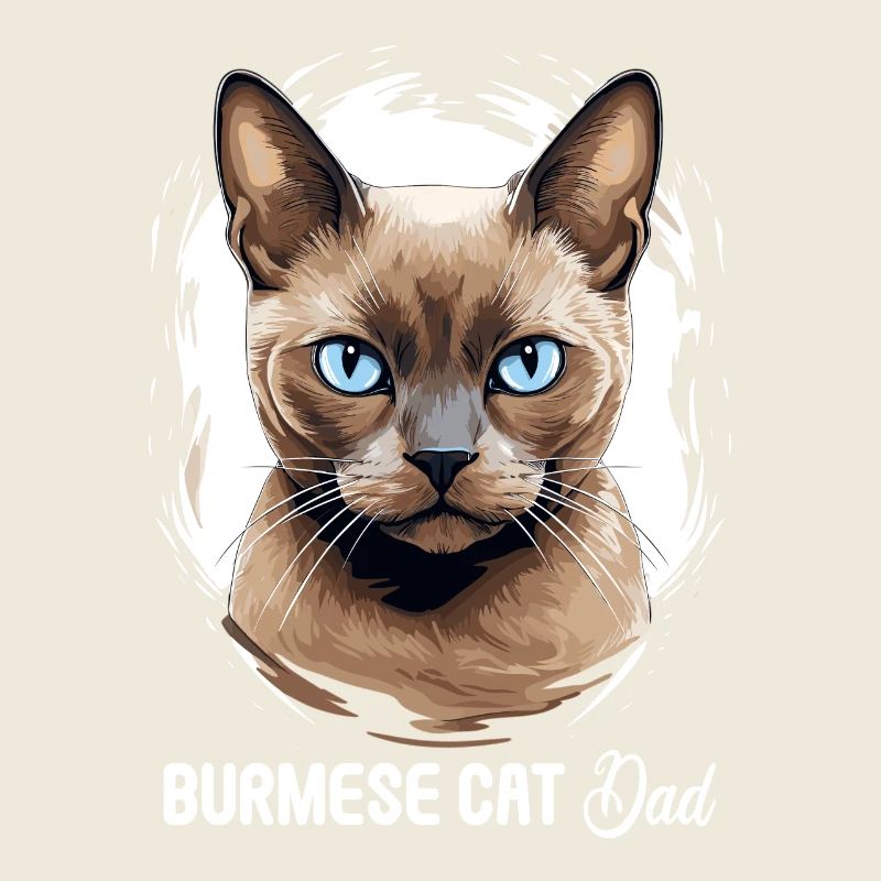 Burmese Cat Burma Katze