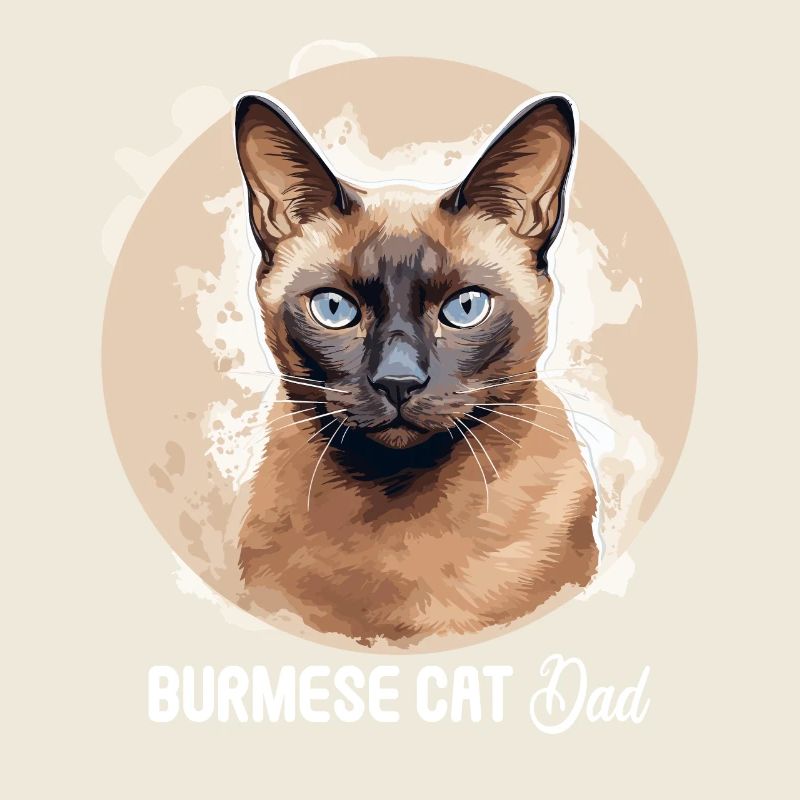 Burmese Cat Burma Katze