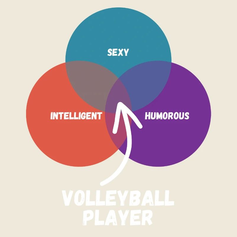 Volley-ball