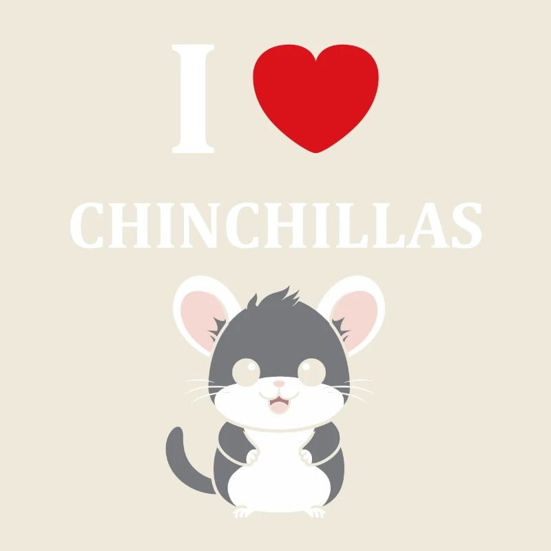 Petit chinchilla mignon