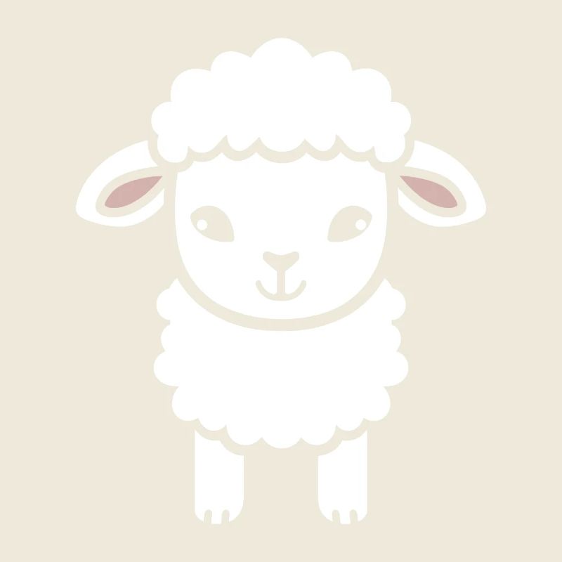 Baby Sheep Little Ewe