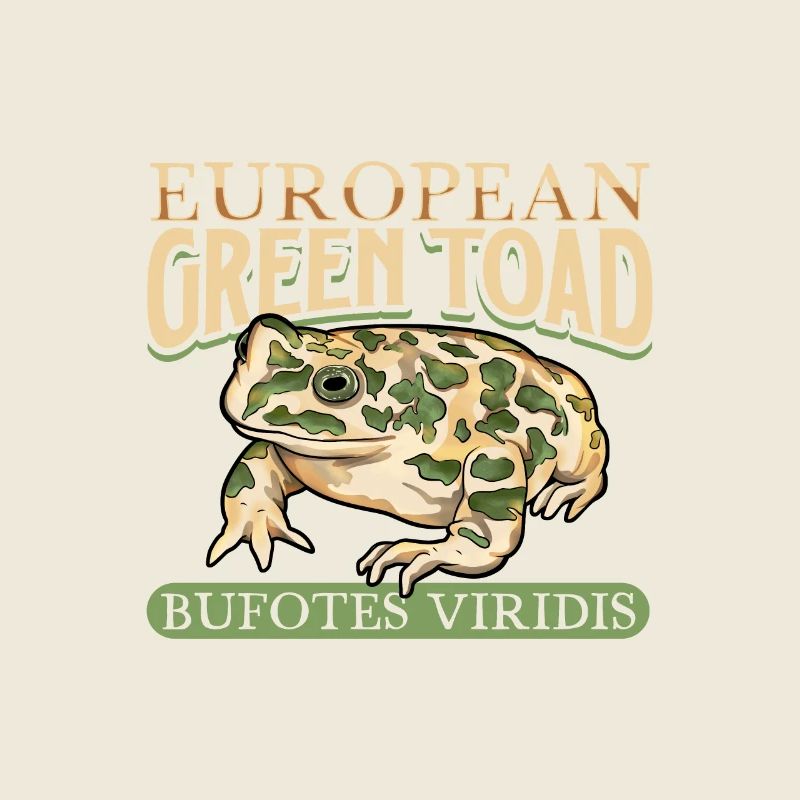 Crapaud vert