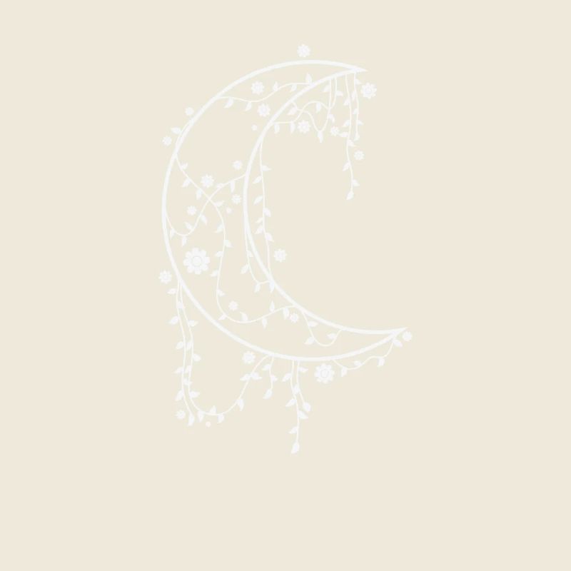 Ciel de nuit de la lune décoré