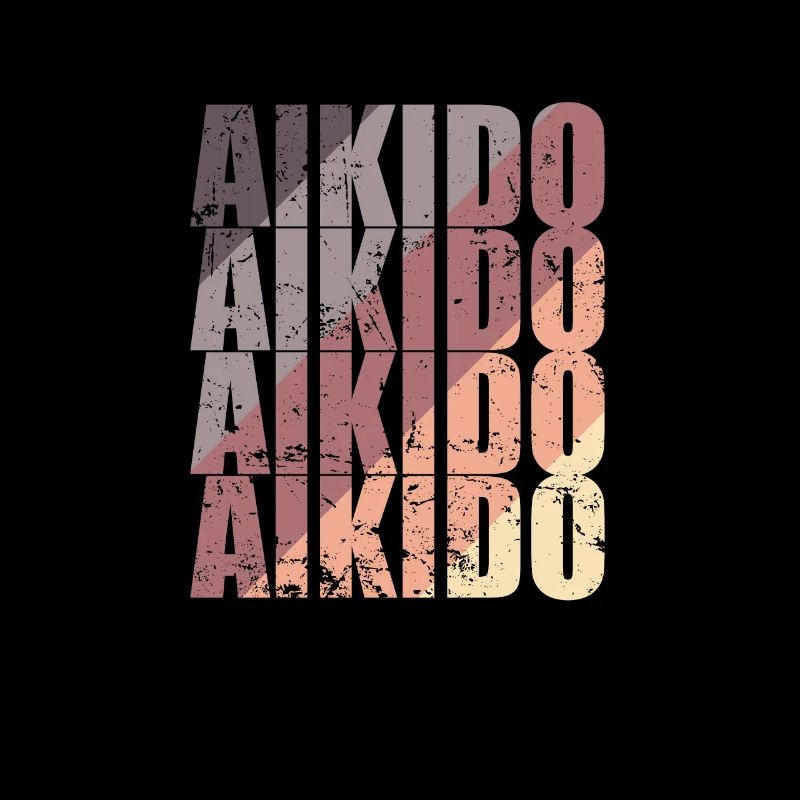 Aikido Kampfsport Training Kampfkunst