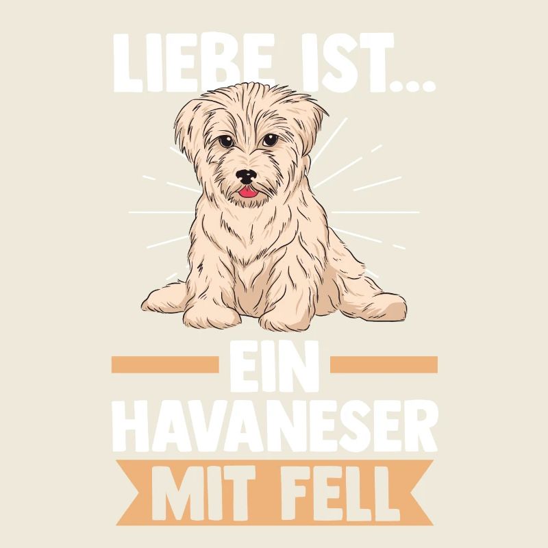Hund Havaneser