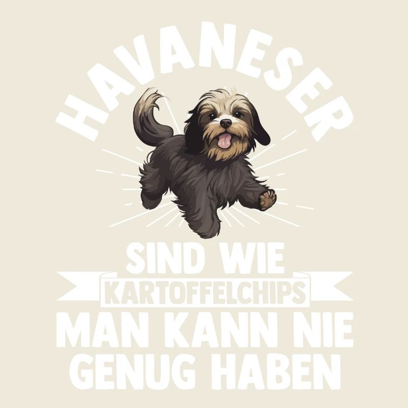 Hund Havaneser