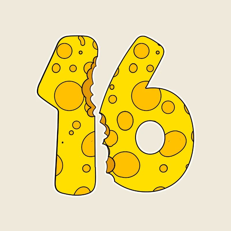 16 Year Old Funny Cheese