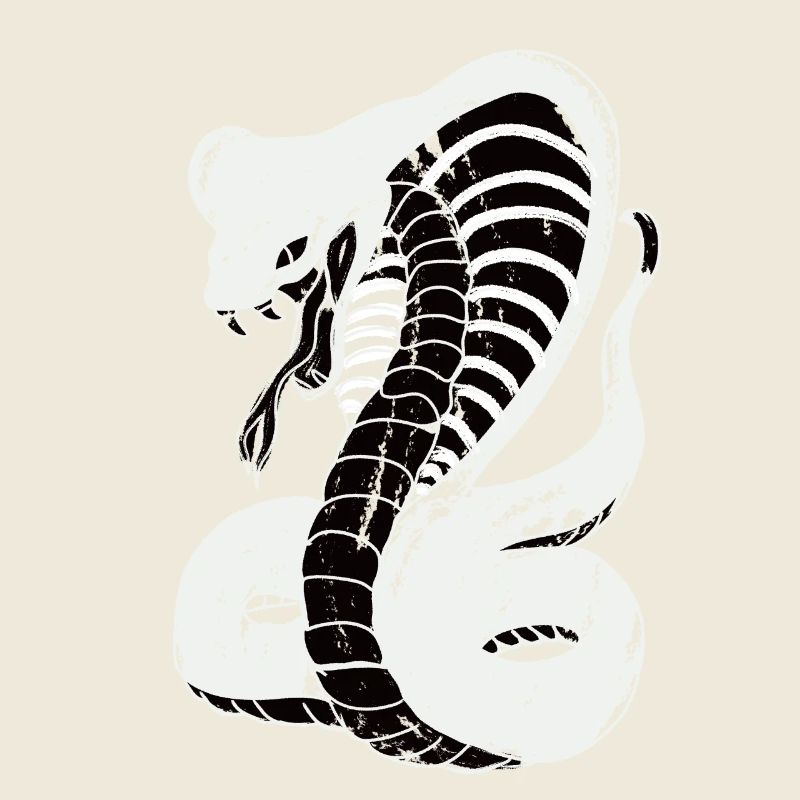 Cobra peinture blanche