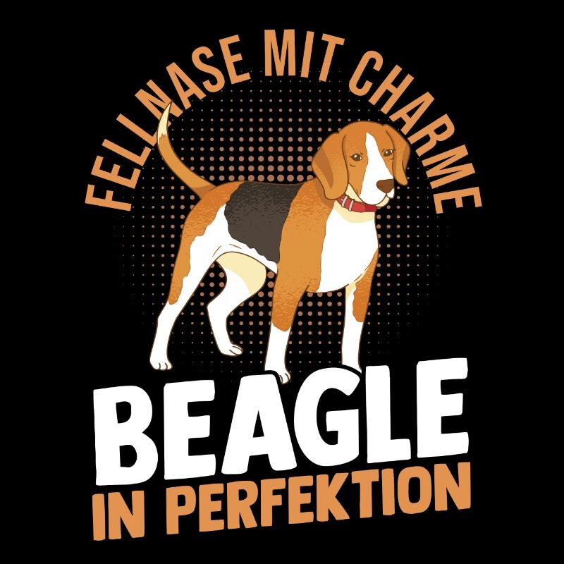 Hund Beagle