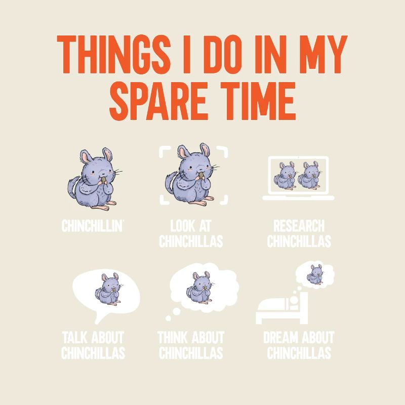 Chinchilla