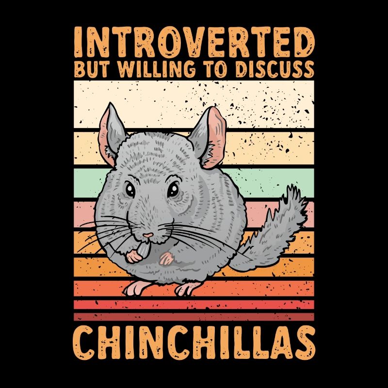 Chinchilla