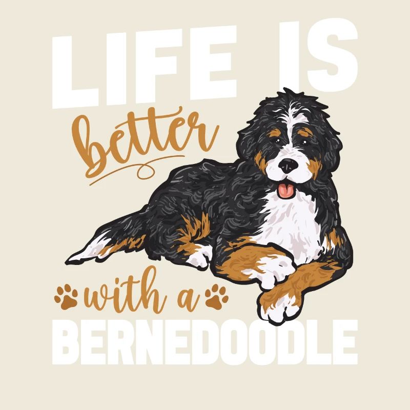 Bernedoodle Hund
