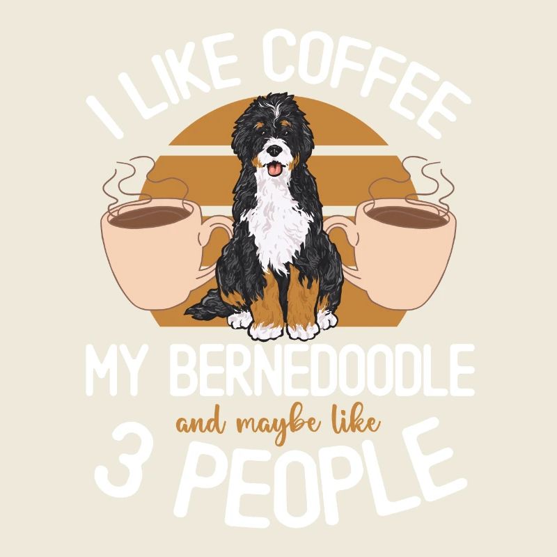 Bernedoodle Hund