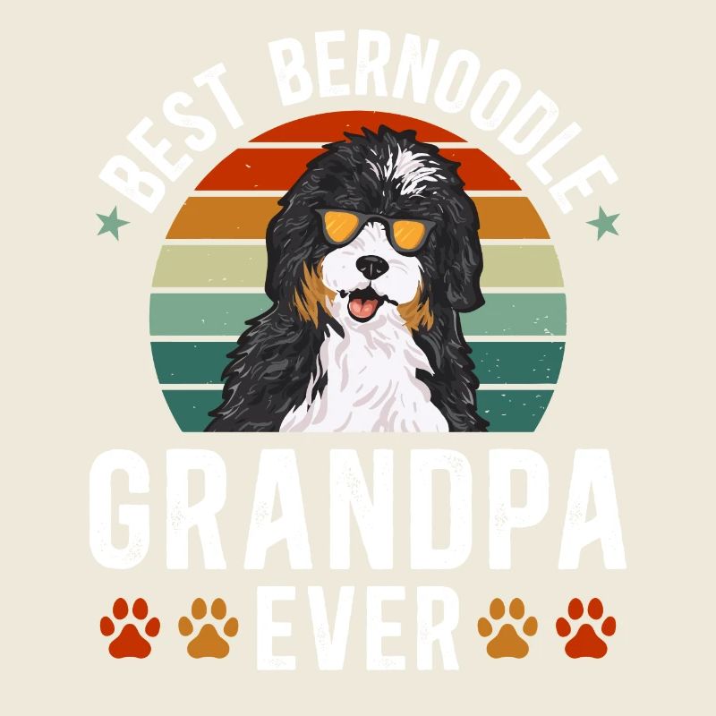 Bernedoodle Hund
