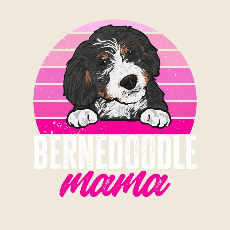Bernedoodle Dog