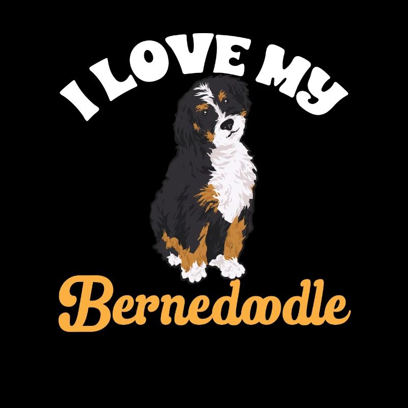 Bernedoodle Dog