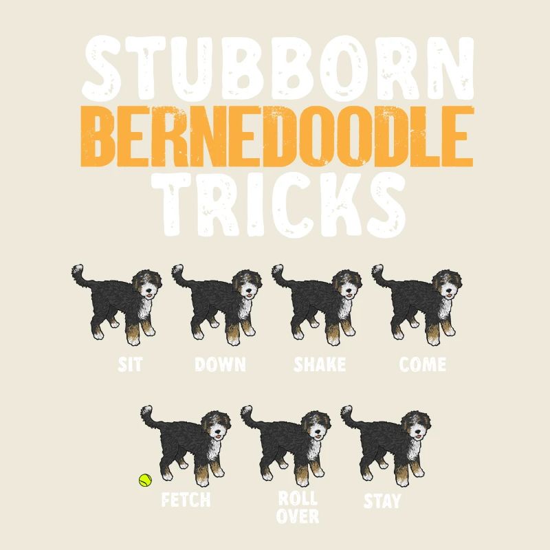 Bernedoodle Dog