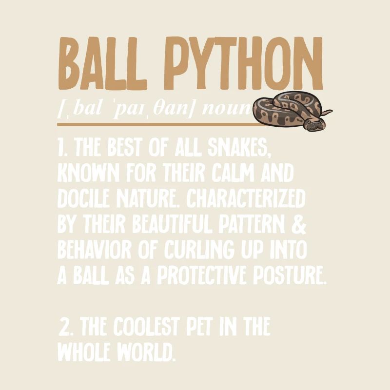 Ball Python Schlange Königspython