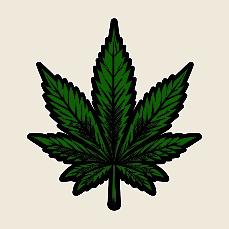 Chanvre, Cannabis, Herbe, Babak, Bobaz, Feuille De Cannabis