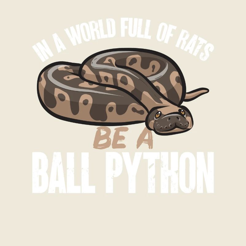 Ball Python Schlange Königspython