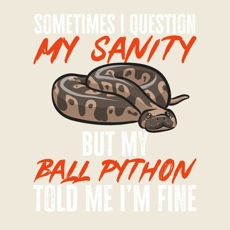 Ball Python Schlange Königspython