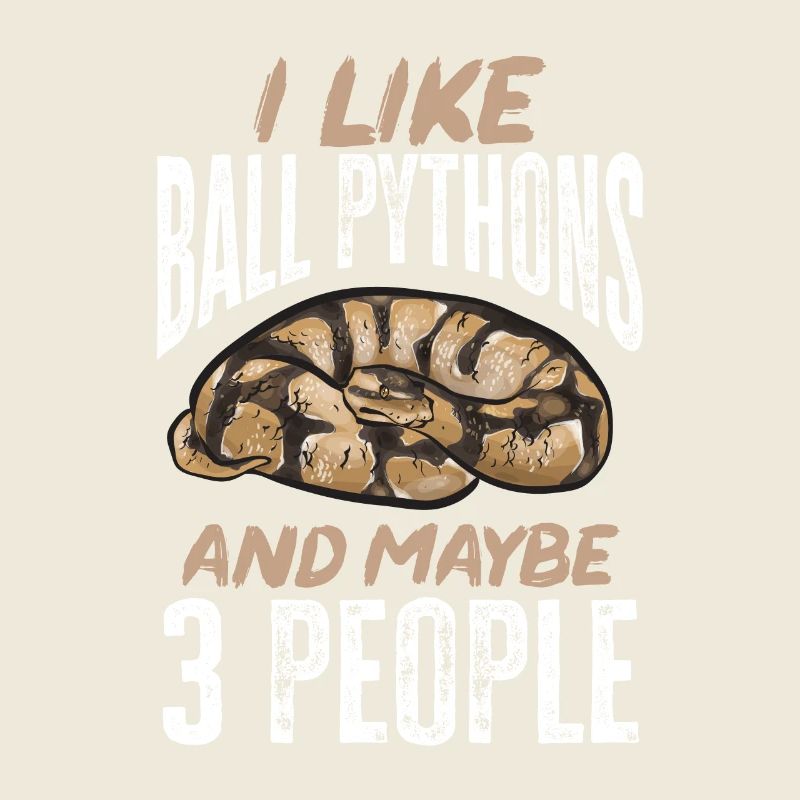Ball Python Schlange Königspython
