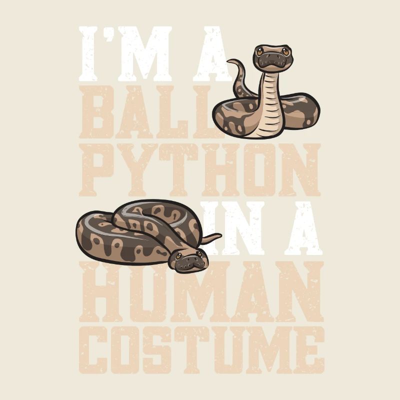 Ball Python Schlange Königspython