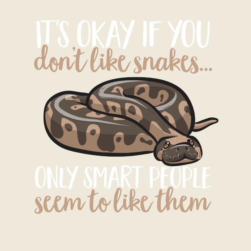 Ball Python Schlange Königspython