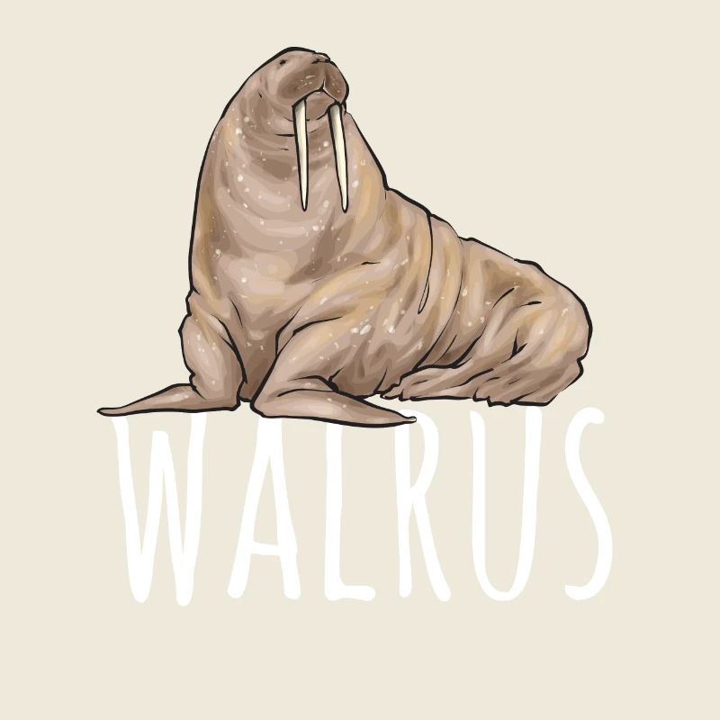 Walrus