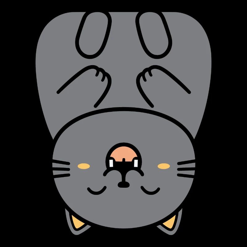 Chartreux petit chat