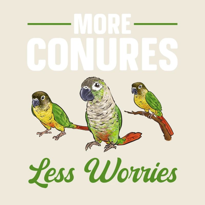 Molinasittich Papagei Vogel Sittich