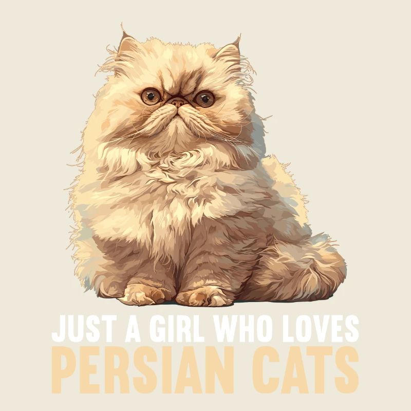 Persian Cat Perserkatze