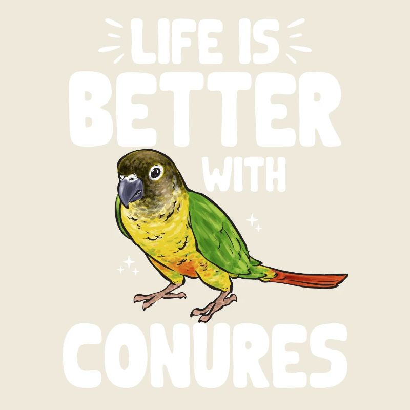 Molinasittich Papagei Vogel Sittich