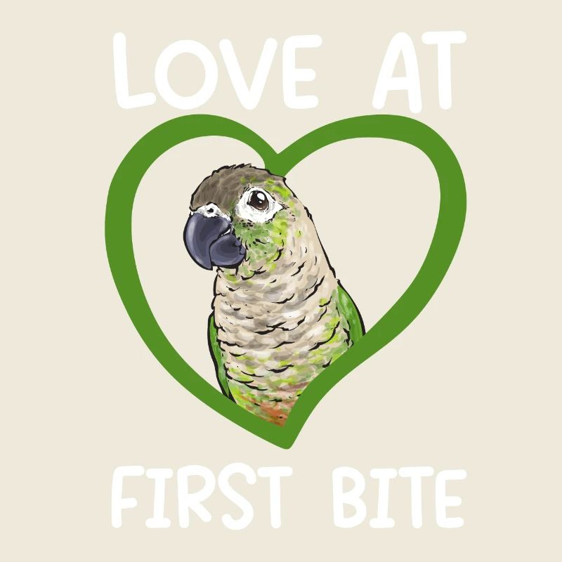 Molinasittich Papagei Vogel Sittich