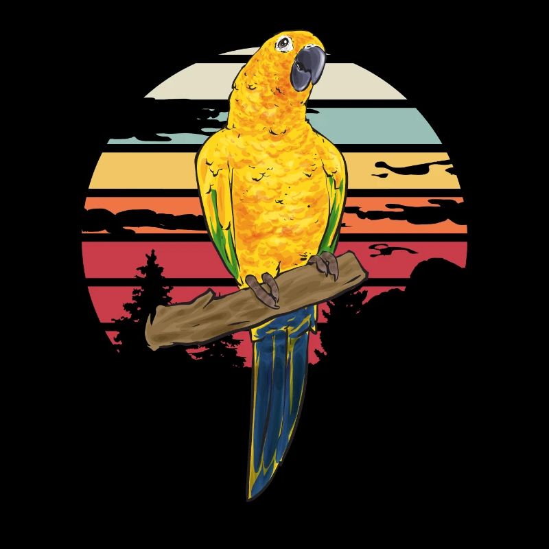 Perruche Perroquet Perruche Oiseau