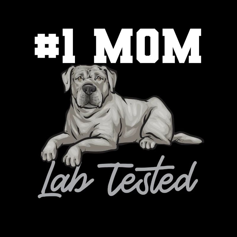 Silver Labrador Retriever Silver Lab