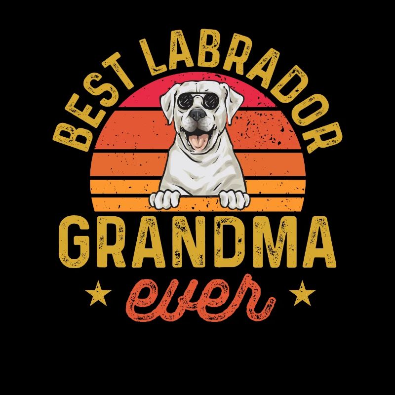 Labrador Retriever blanc Labrador Labrador blanc