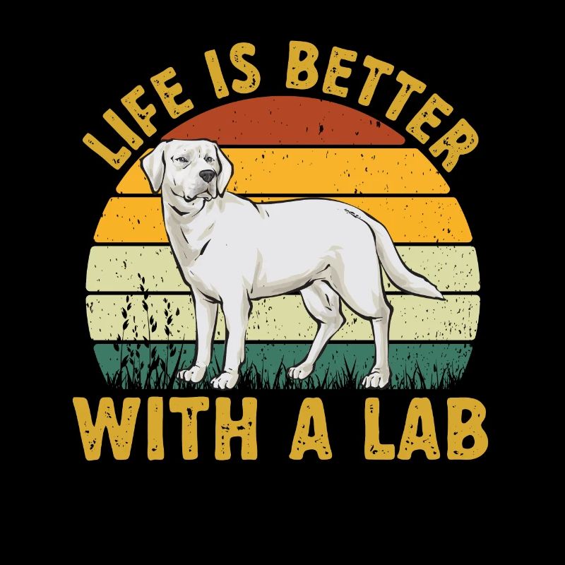 Labrador Retriever blanc Labrador Labrador blanc