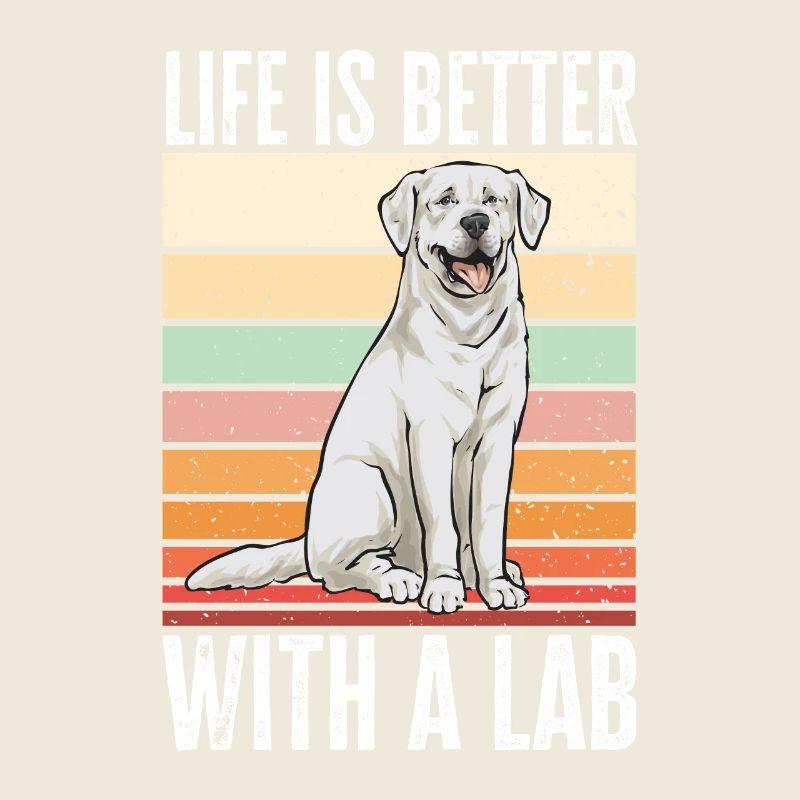 Labrador Retriever blanc Labrador Labrador blanc