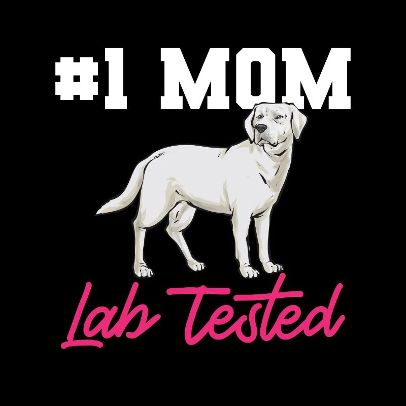 Labrador Retriever blanc Labrador Labrador blanc