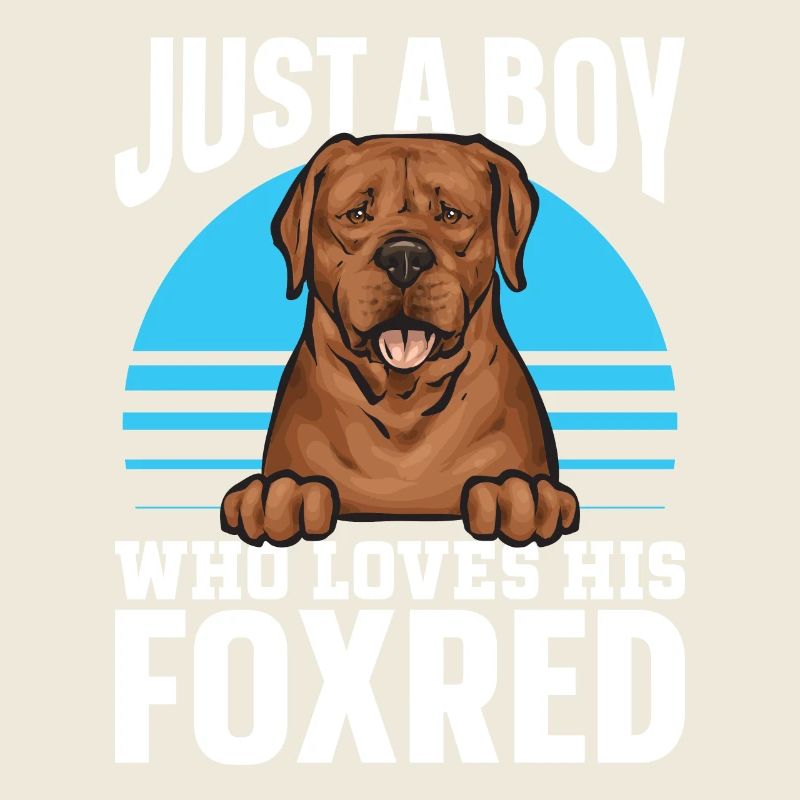 Fuchsroter Labrador Retriever Fox Red Labrador
