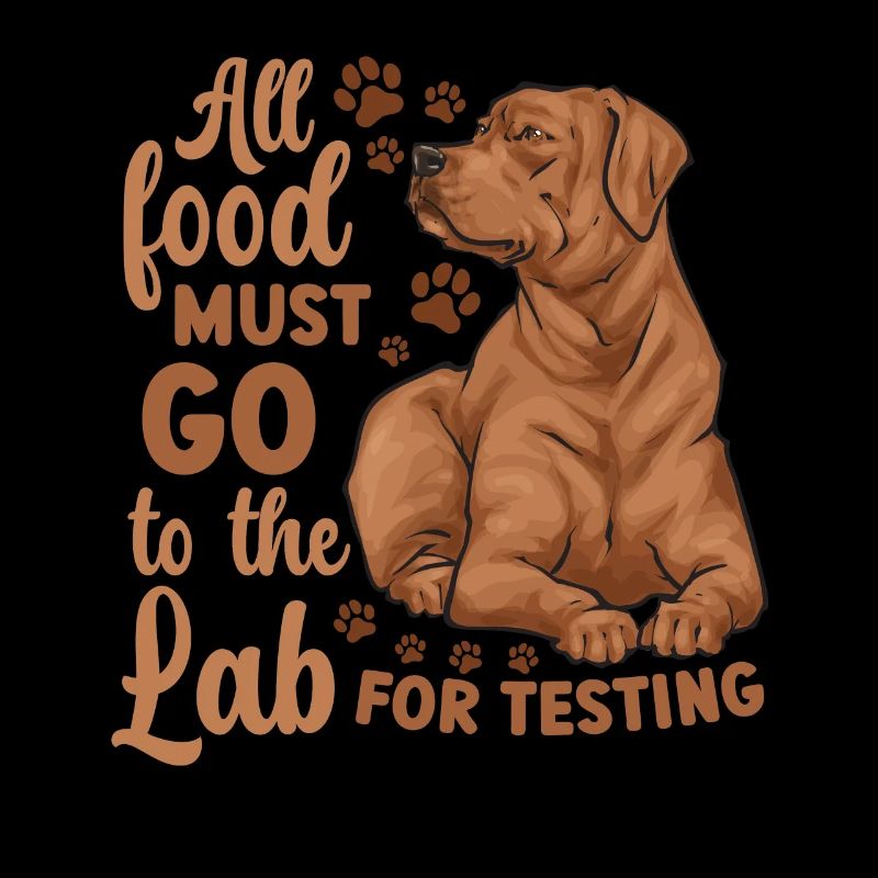 Fuchsroter Labrador Retriever Fox Red Labrador