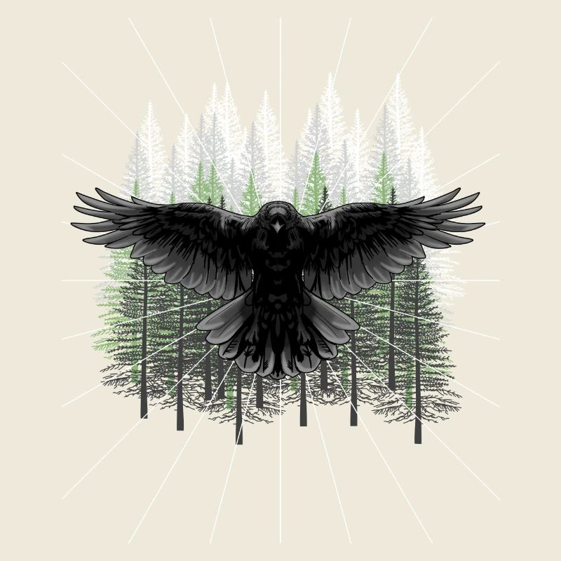 Forêt Faune Corbeau Corbeau Forêt Animaux Sombre