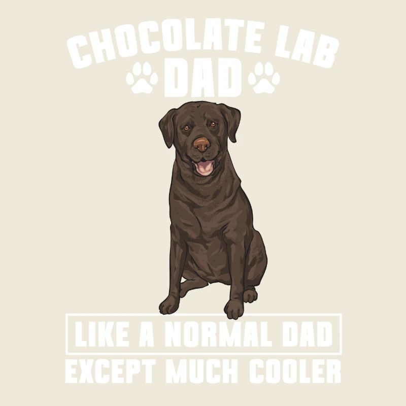 Chien Labrador Retriever brun chocolat