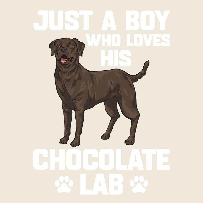 Chien Labrador Retriever brun chocolat