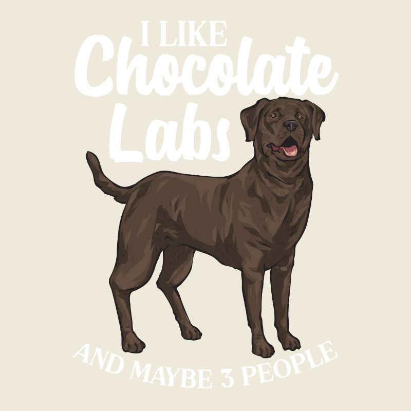 Chien Labrador Retriever brun chocolat
