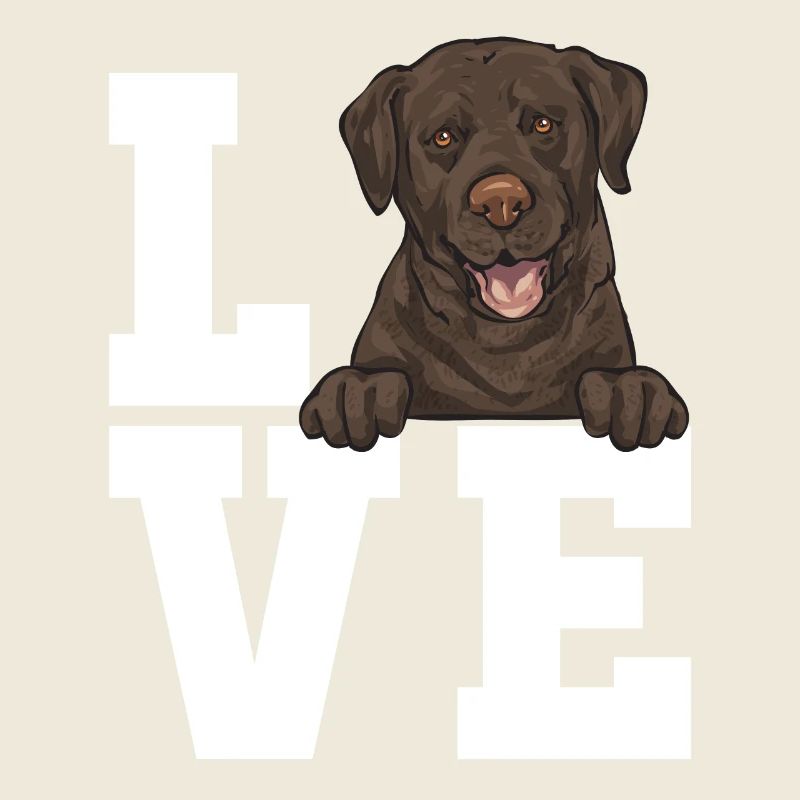 Chien Labrador Retriever brun chocolat