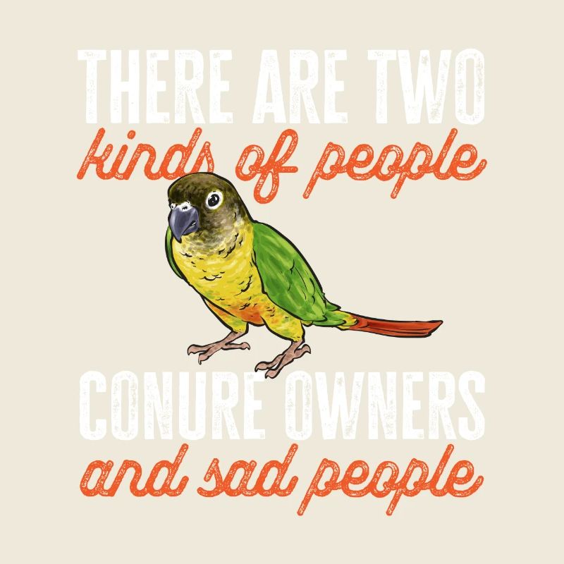 Molinasittich Papagei Vogel Sittich